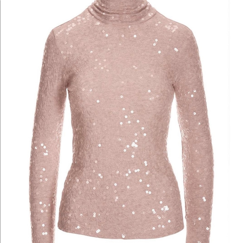 Sequin Knit Turtleneck